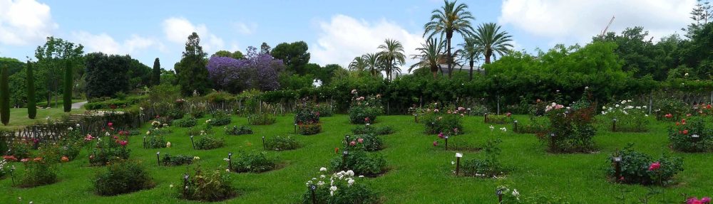 Sortides amb gràcia