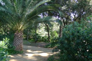 Jardins de Pedralbes. Foto: JAF_SaG.