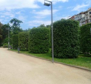 Camí a l'accés de l'avinguda de Pau Casals. Foto: JAF_SaG.