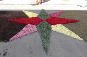 Catifes de flors a la Garriga. Corpus 2015. Foto JAF_SaG.