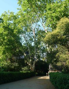Un dels camins del parc. Foto JAF_SaG.