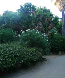 Un racó del parc. Foto JAF_SaG.
